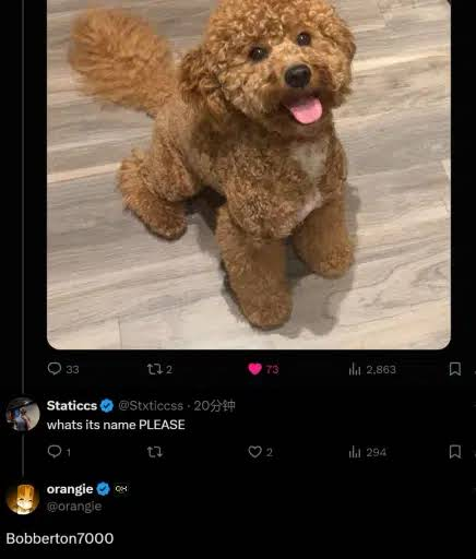 Earlier post showing Orangie's dog and a reply naming him Bobberton7000